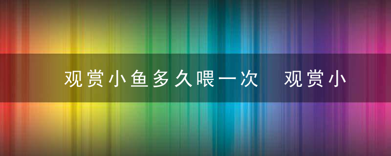 观赏小鱼多久喂一次 观赏小鱼多长时间喂食